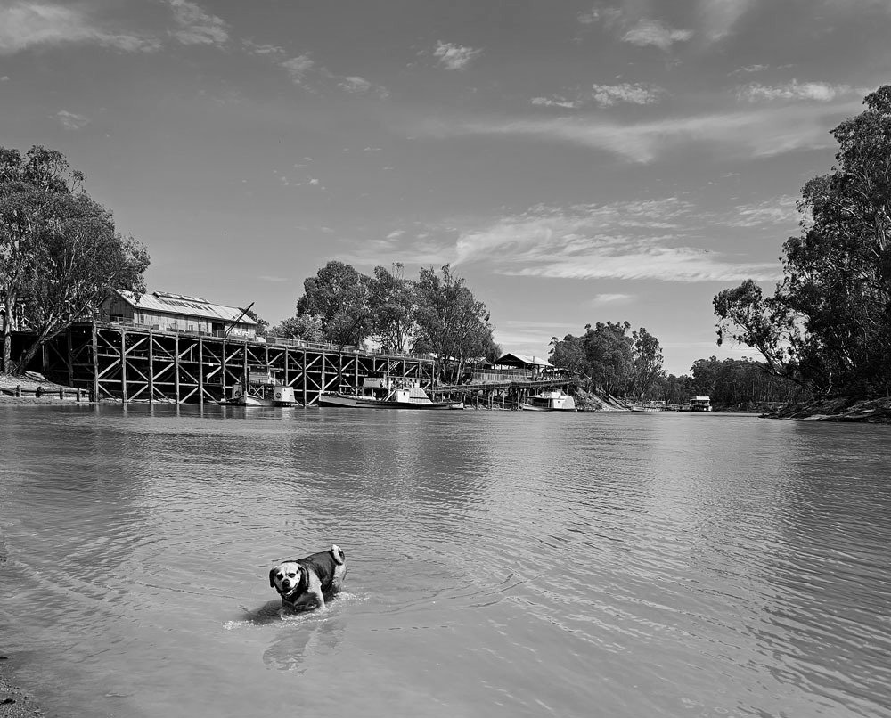 The Murray River at Echuca